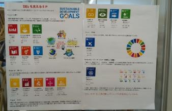 SDGs